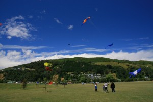 The Nelson Kite Festival